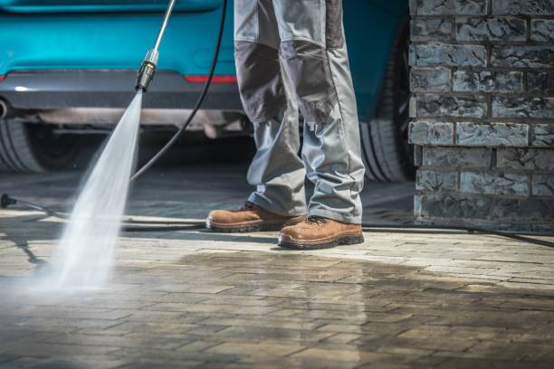 Boat and Dock Cleaning in Trenton, MI