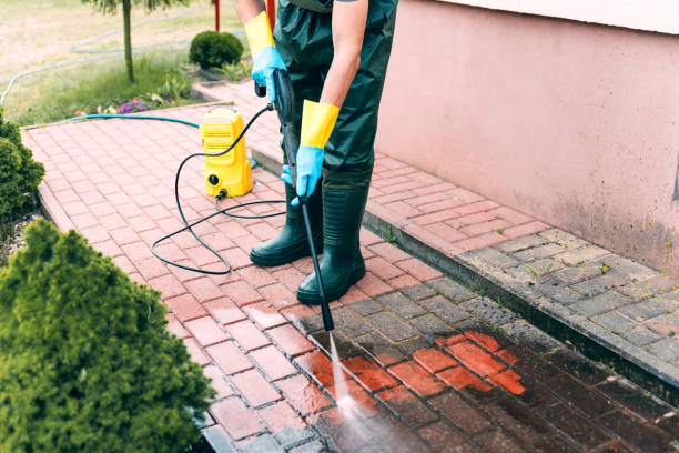 Best House Exterior Washing  in Trenton, MI