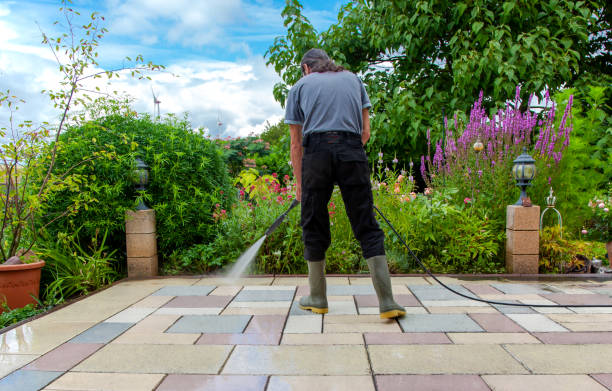 Best Parking Lot and Garage Cleaning  in Trenton, MI