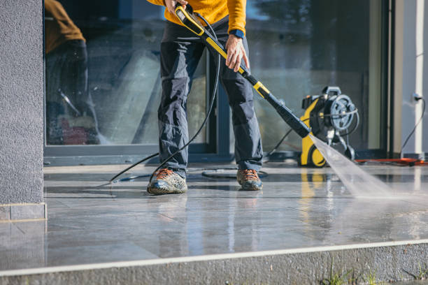 Best Fence Cleaning  in Trenton, MI
