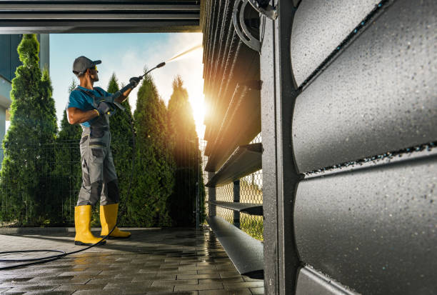 Best Driveway Pressure Washing  in Trenton, MI